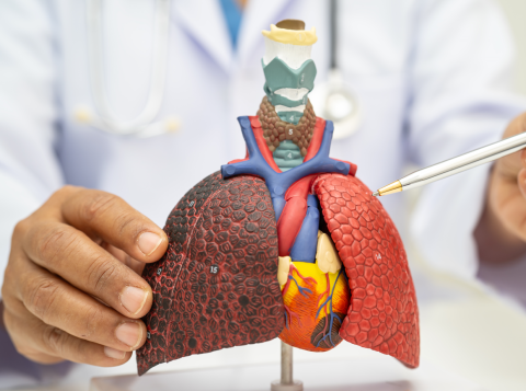 What Is Pulmonary Medicine?