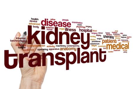 Kidney Transplantation